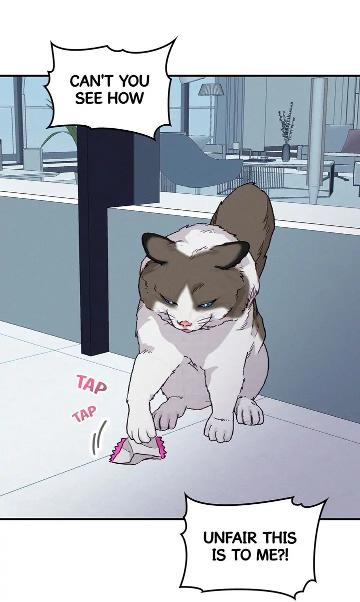 080