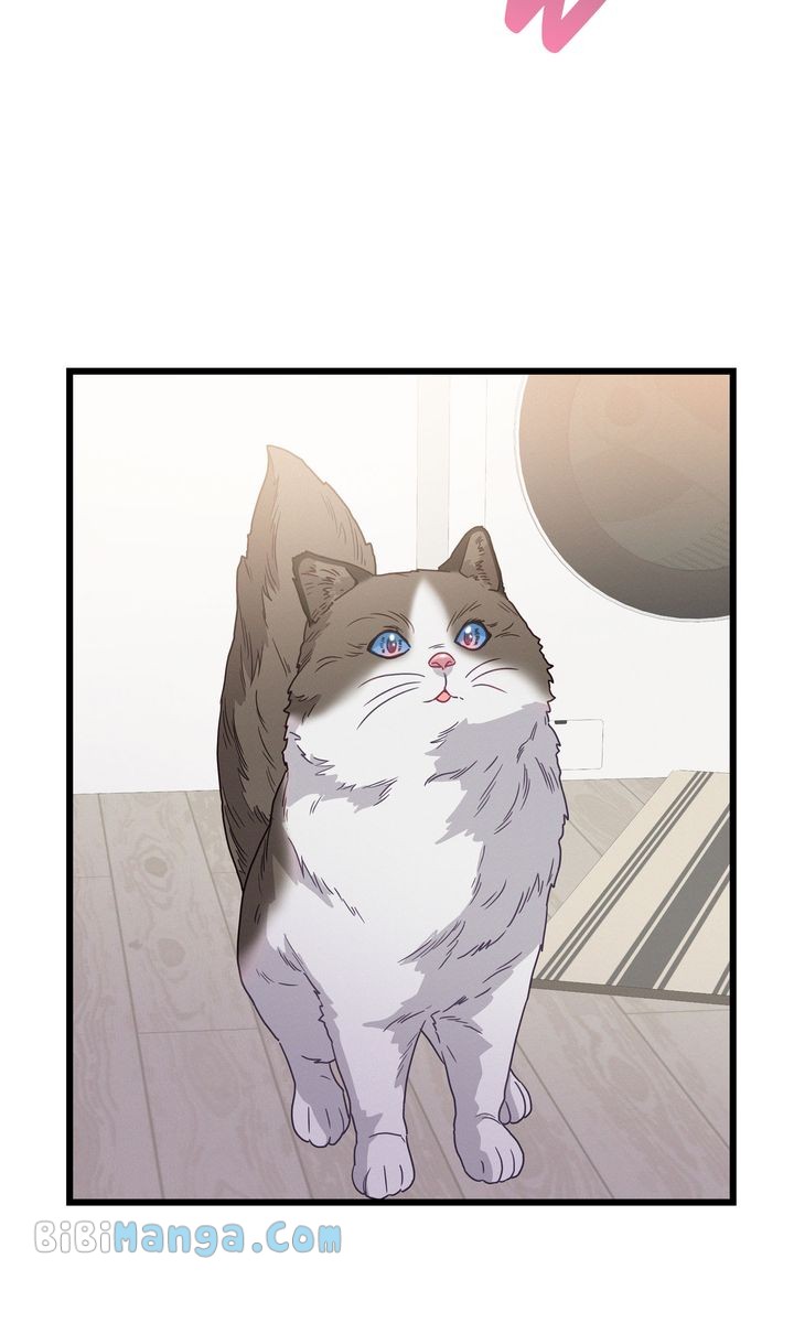 104