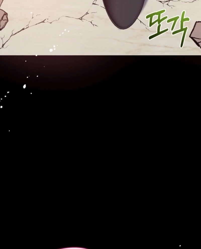 ch 146 13
