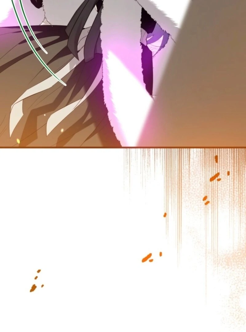 ch 146 33