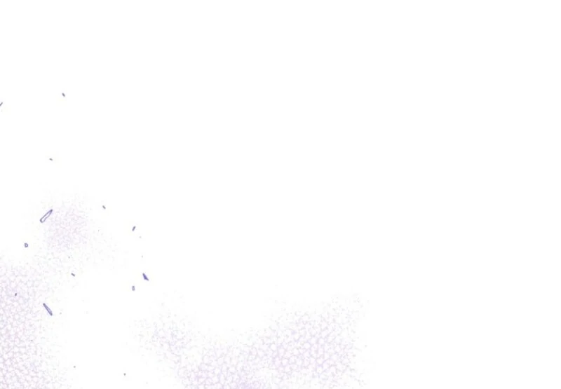 ch 148 46