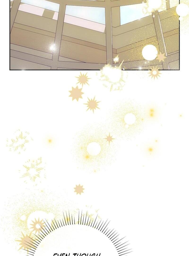 ch 113 117