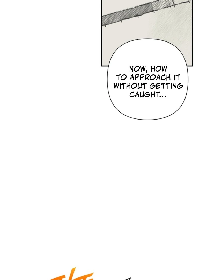 ch 117 39