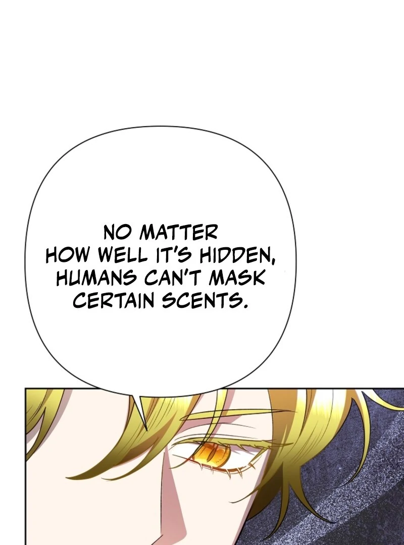 ch 117 85