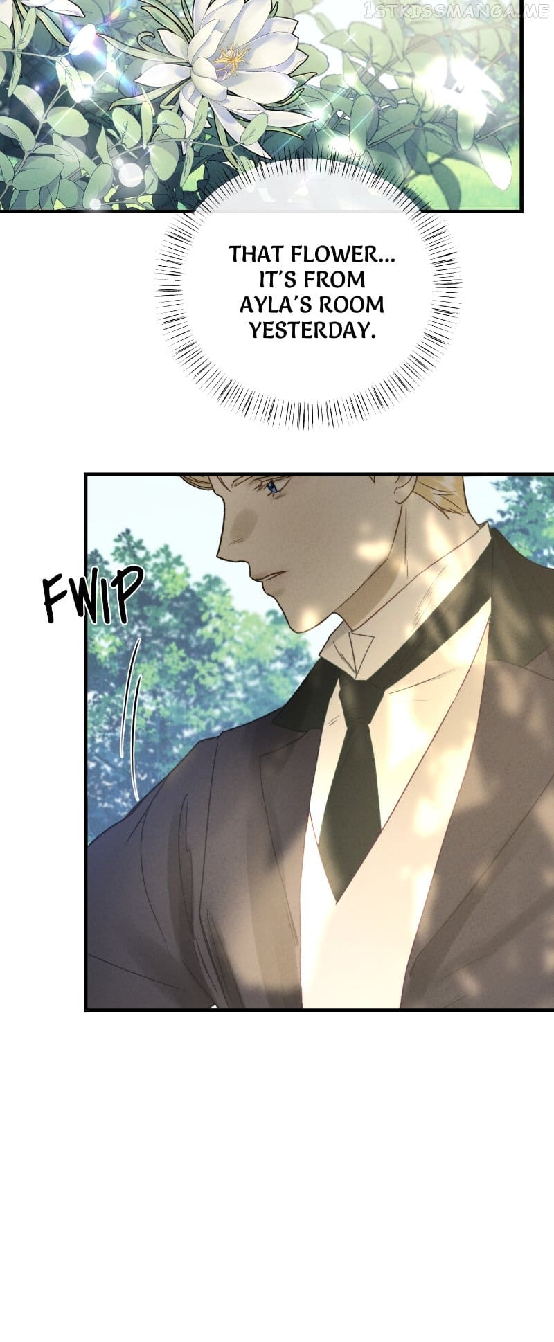 He’s Not Just a Pretty Face Chapter 10 246 23