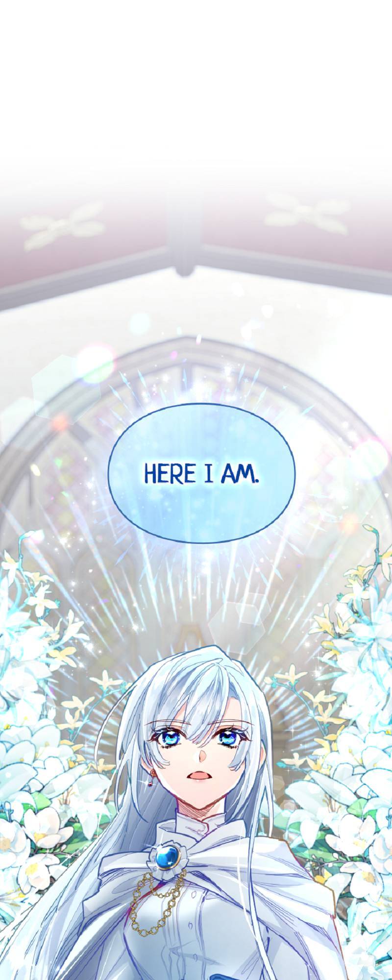 ch 133 1