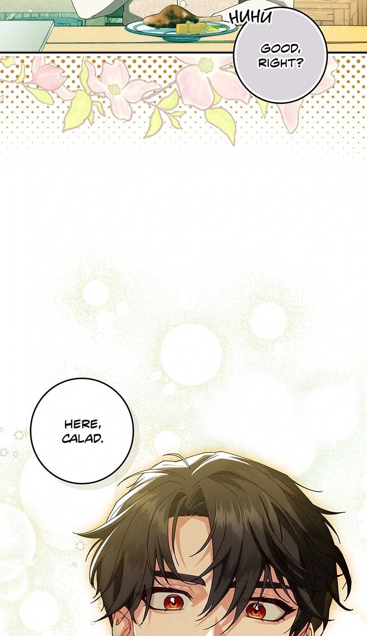 ch 35 17