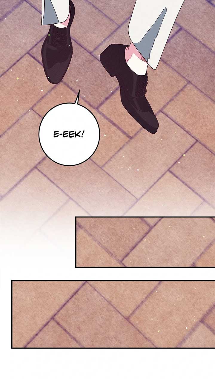 ch 35 61