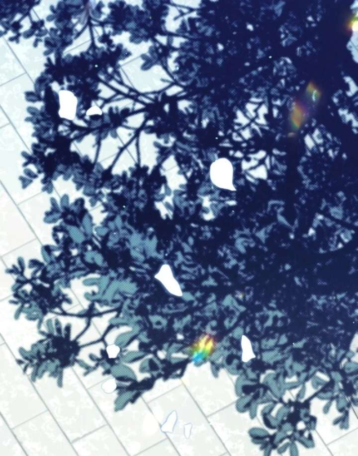 080