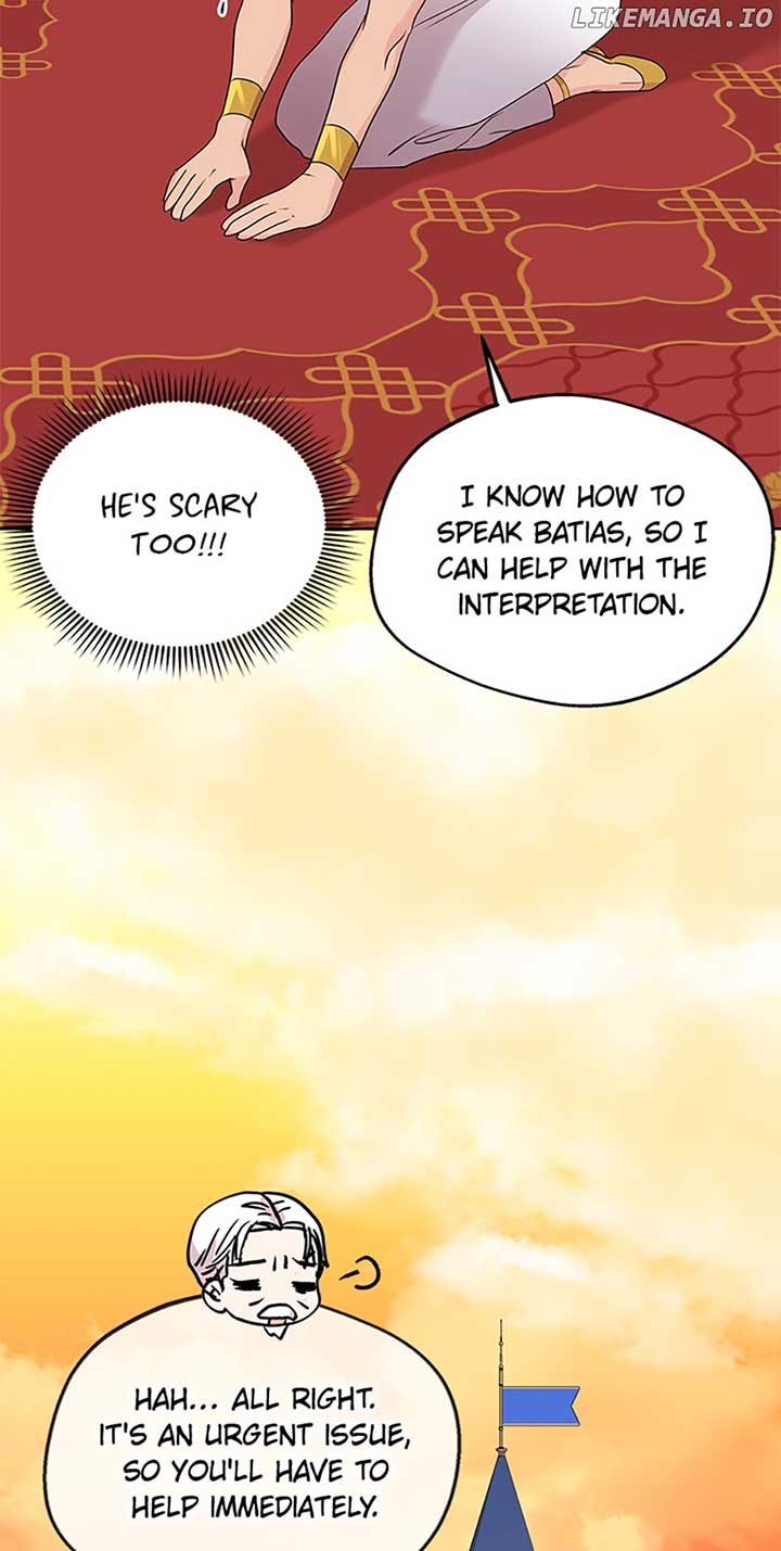 41