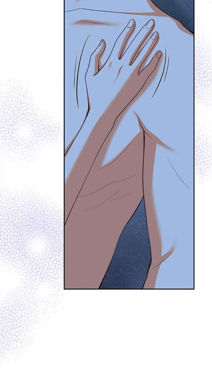 81