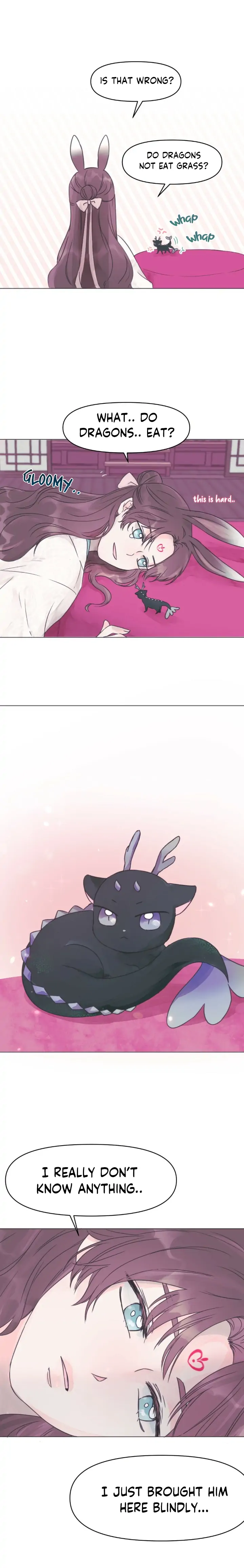 The Baby Dragon and the Rabbit Spirit Chapter 1 99 017