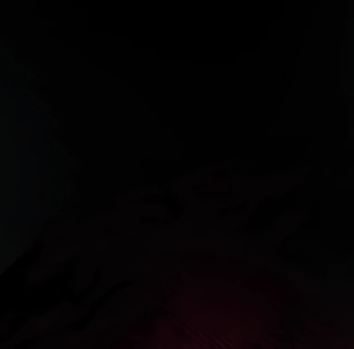 81