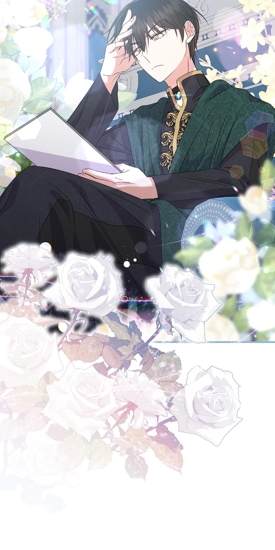 25c8e77801fc