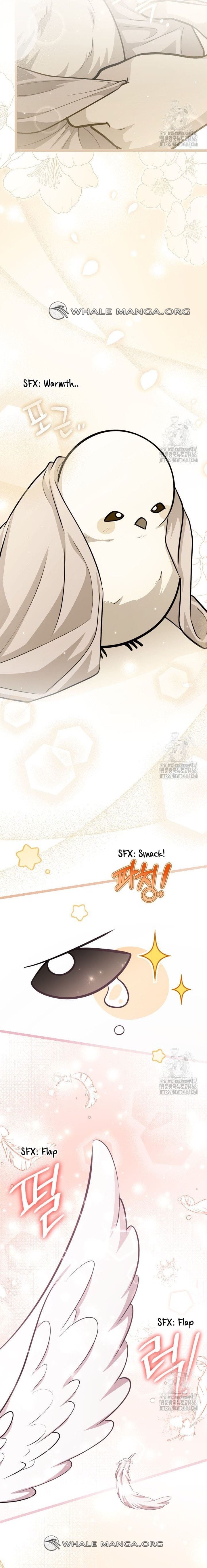 ch 55 2