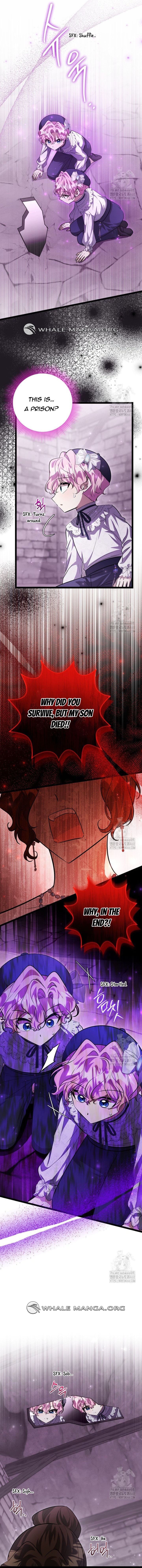 ch 55 5