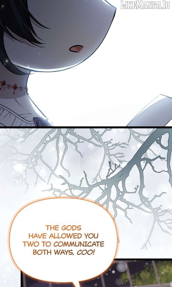 081