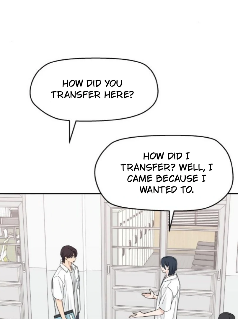 ch 51 81