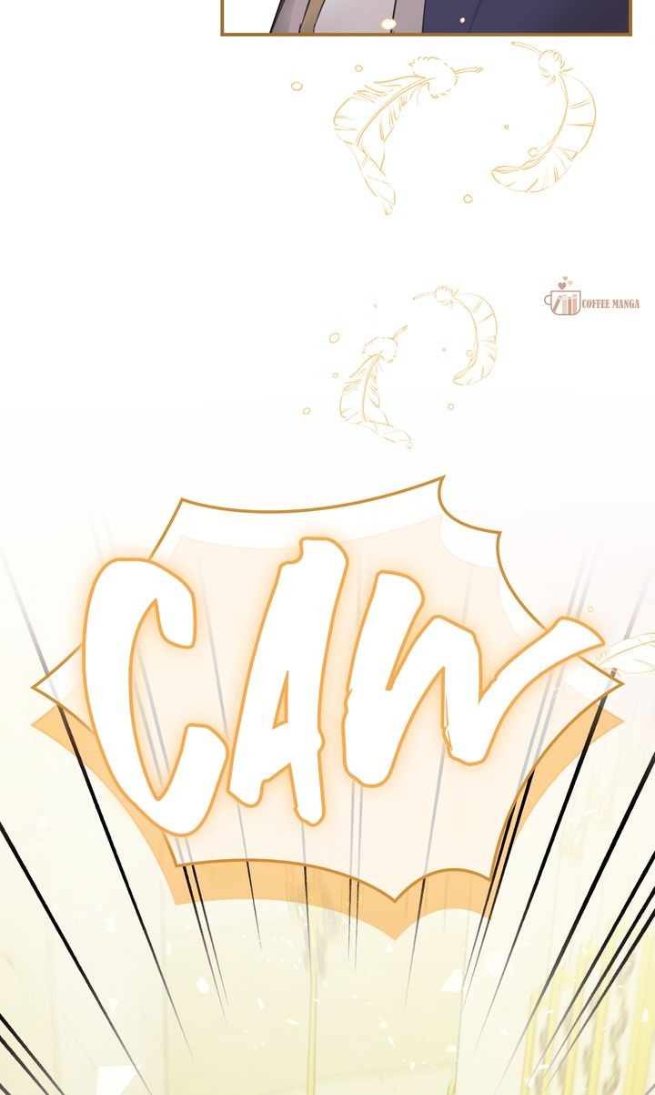 ch 60 56