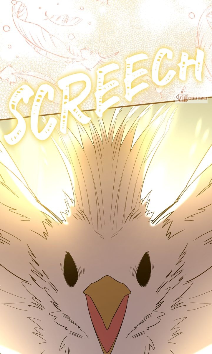 ch 60 74