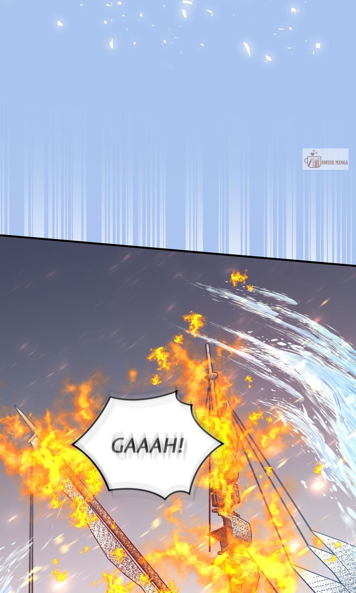 ch 66 79