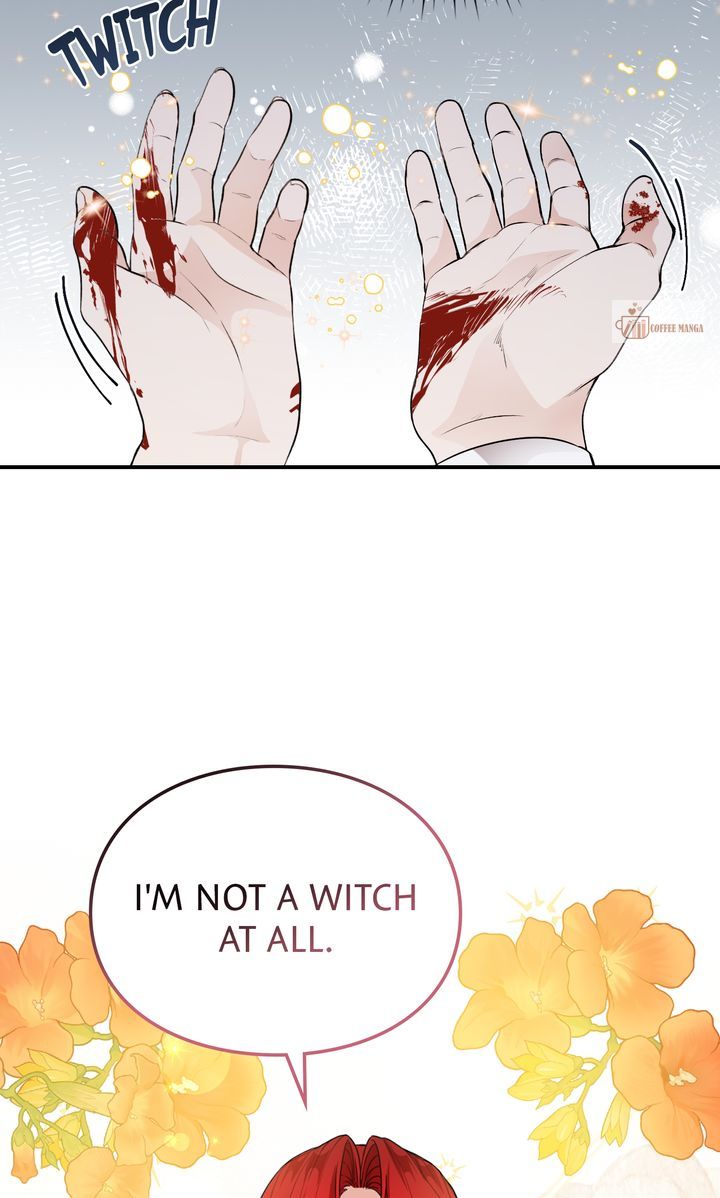 ch 66 88