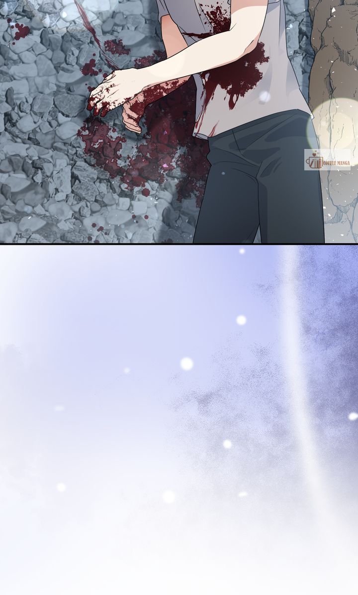 ch 67 88