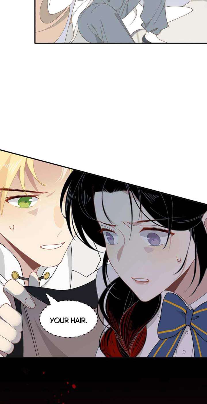 ch 61 16