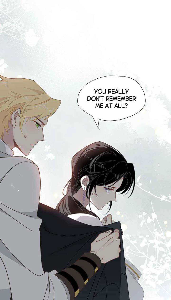 ch 61 20