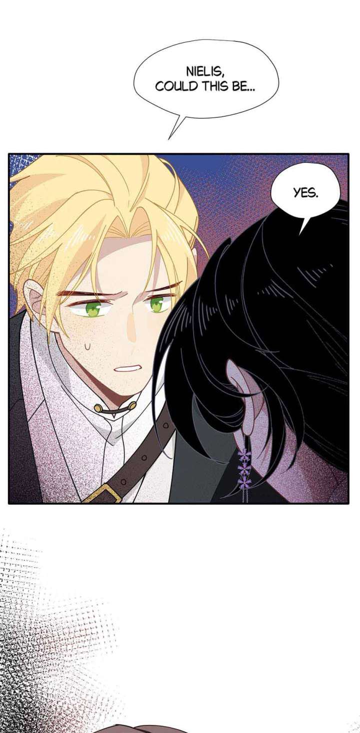 ch 61 44