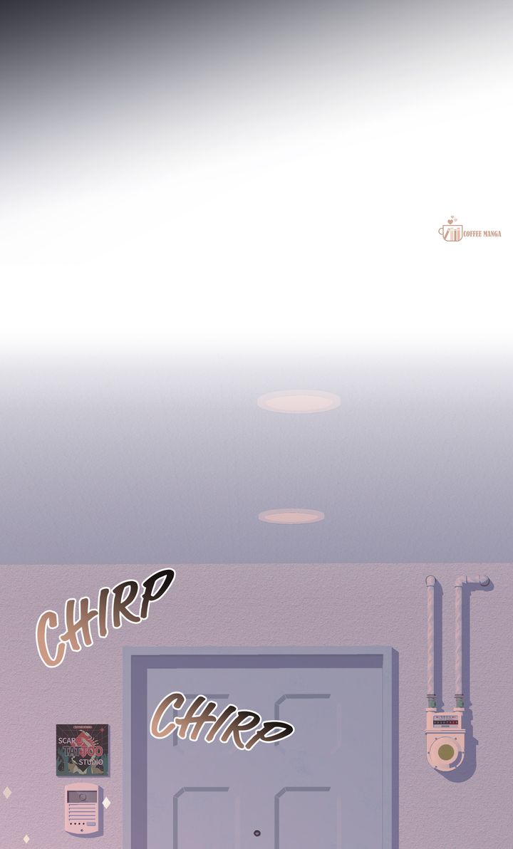 ch 44 46