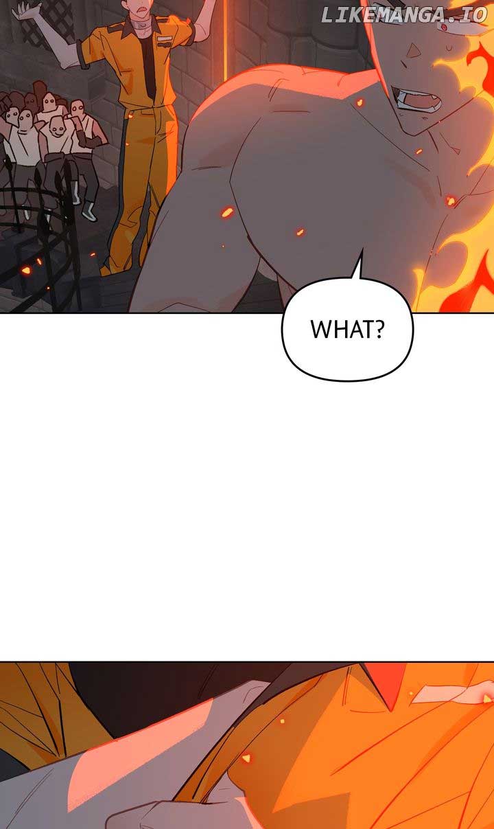 ch 49 19