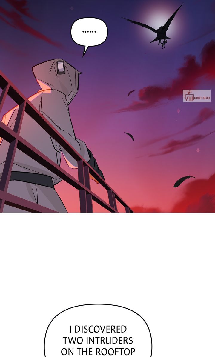 ch 51 9
