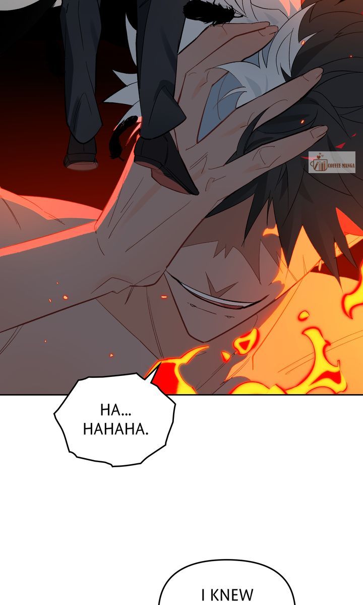 ch 52 36