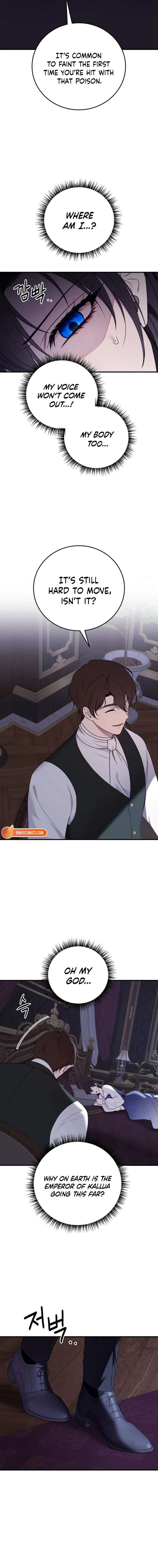 ch 81 16