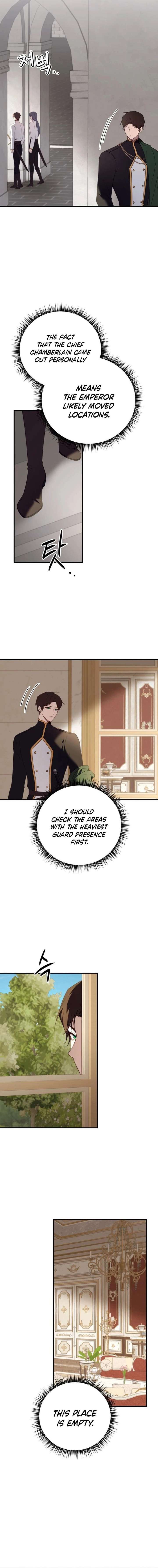 ch 81 6