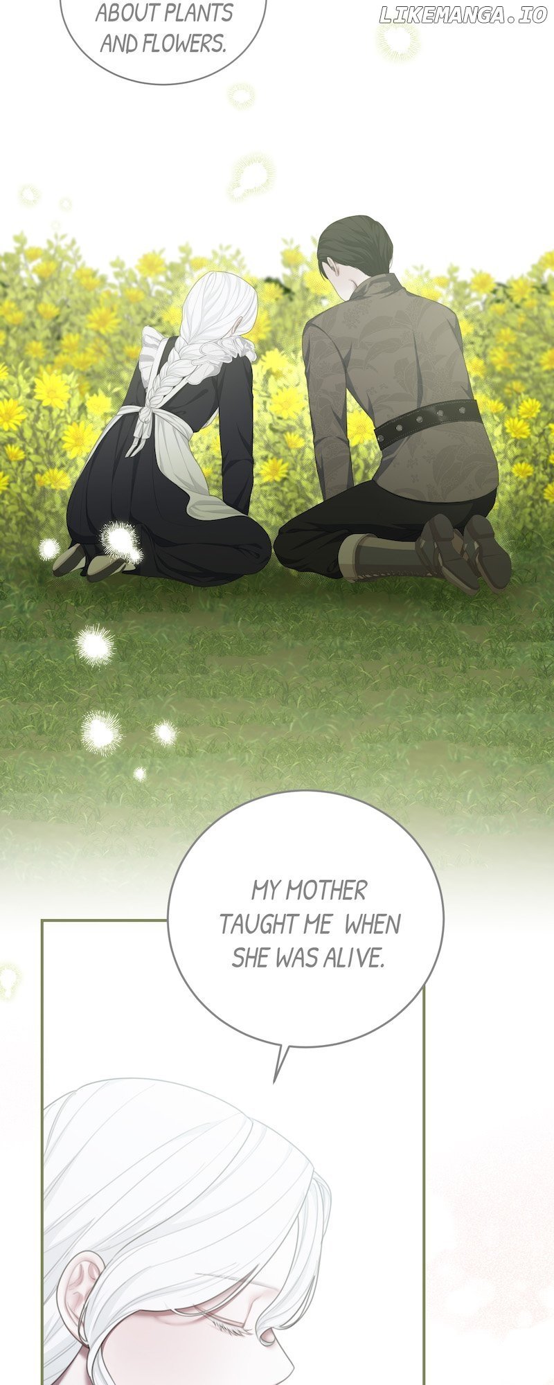 The Maid No Longer Desires her Master Chapter 11 285 44