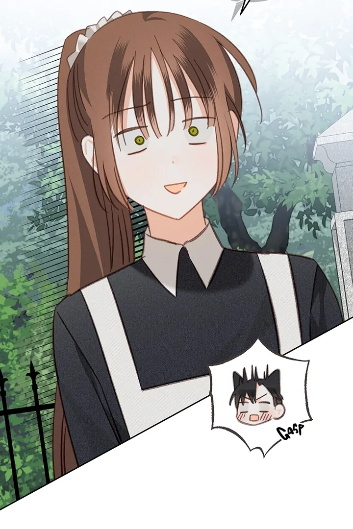 ch 75 23