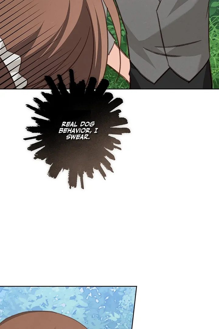ch 75 25