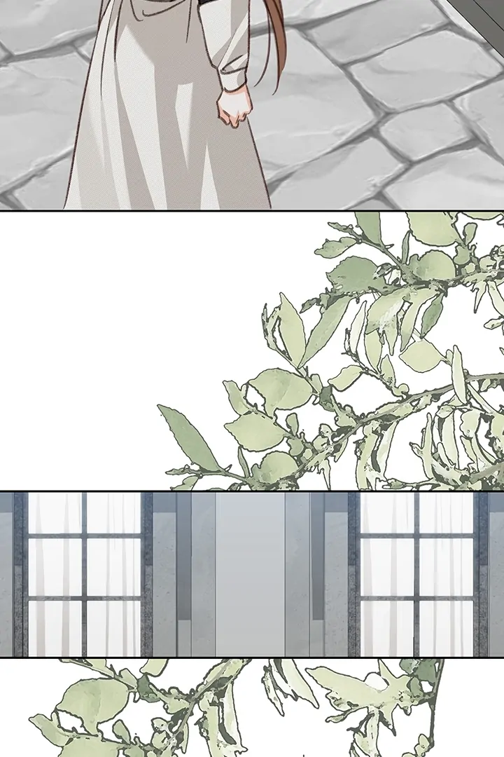 ch 75 31