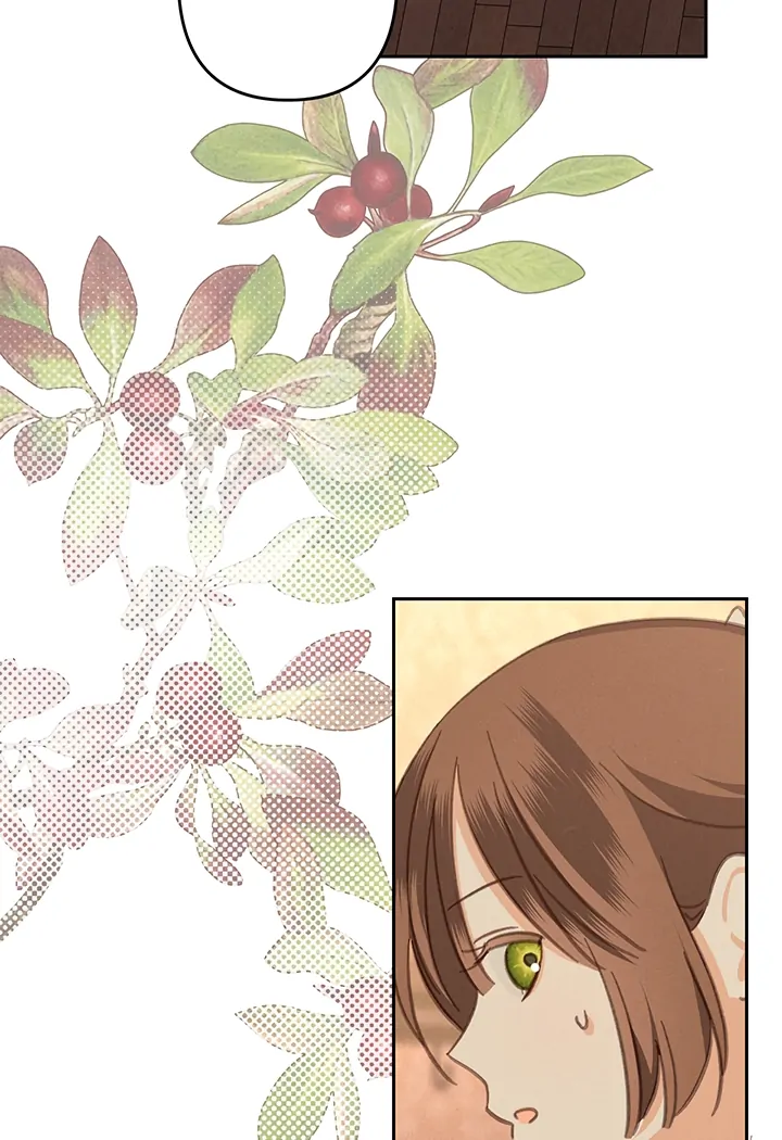 ch 75 79