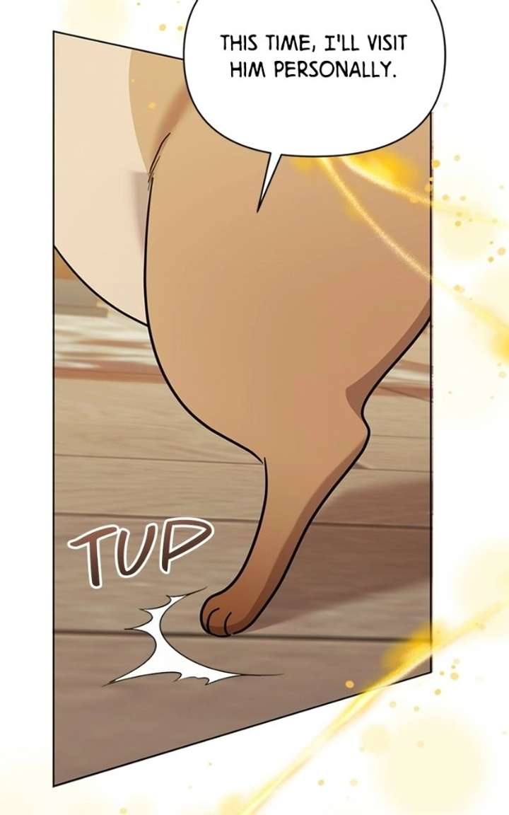 ch 100 34