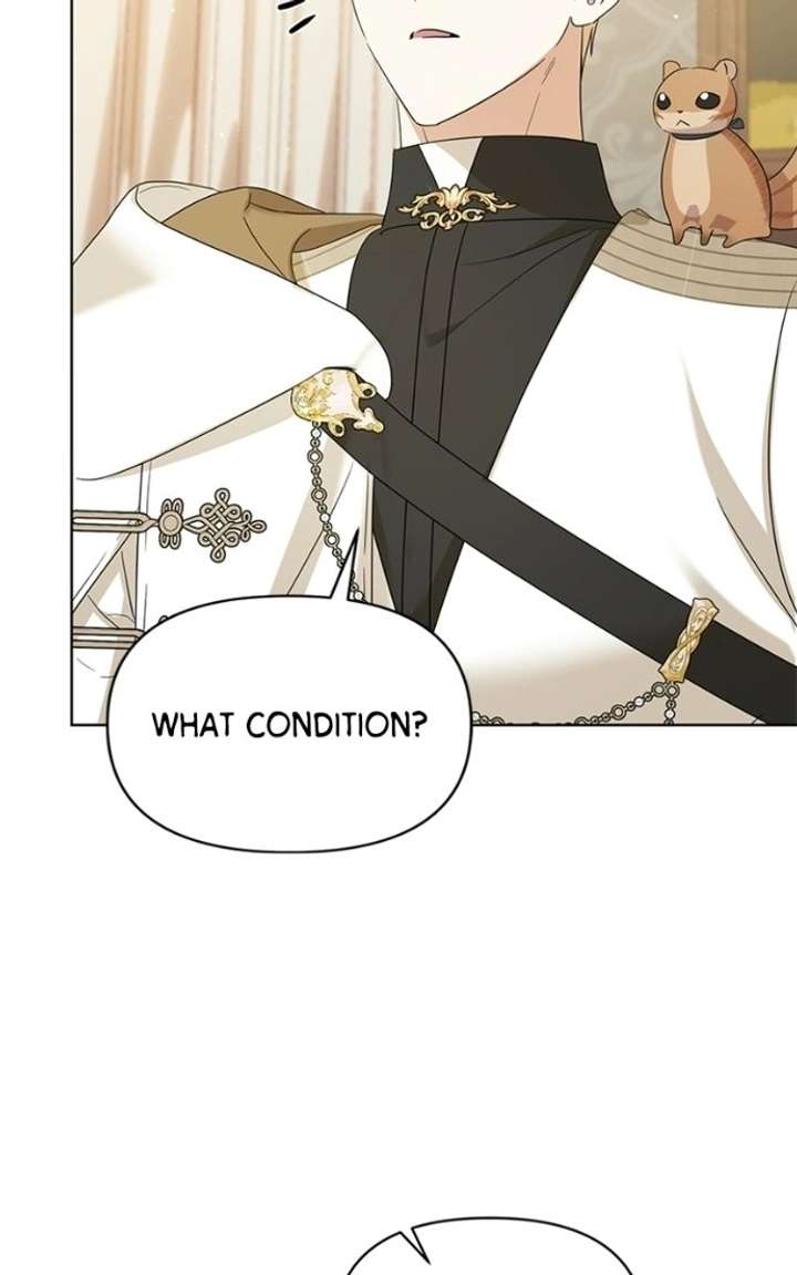 ch 100 6