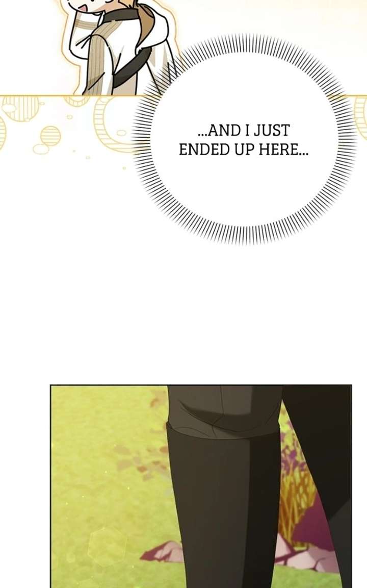 ch 100 65