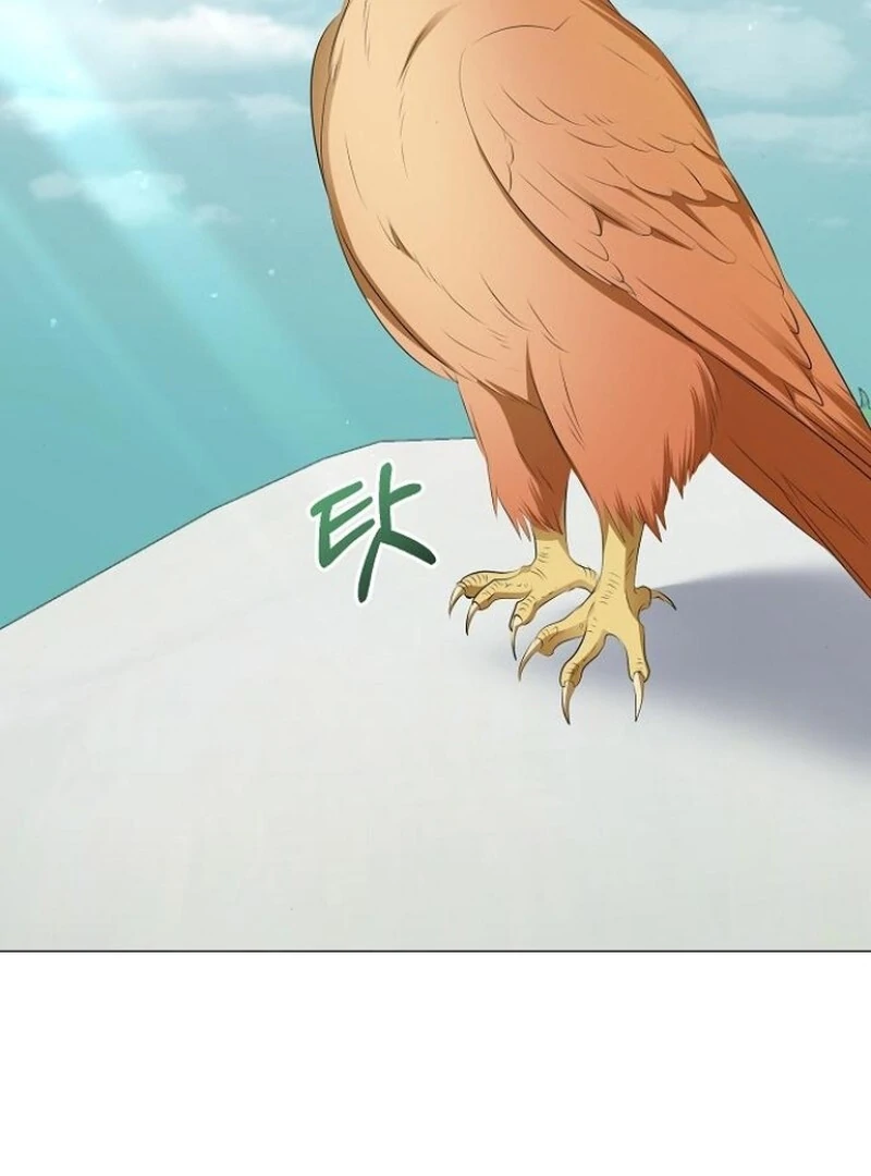 ch 79 3