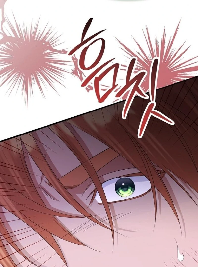 Adopted by a Murderous Duke Family Chapter 80 476 ch 80 79