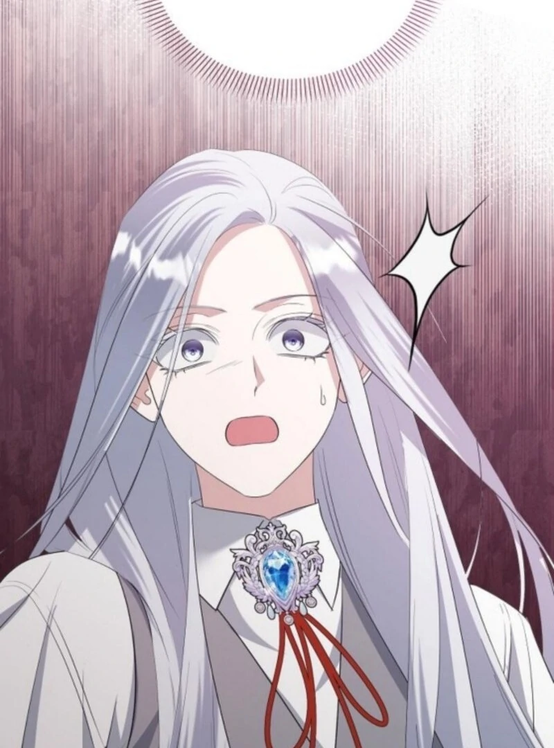 Adopted by a Murderous Duke Family Chapter 87 482 070