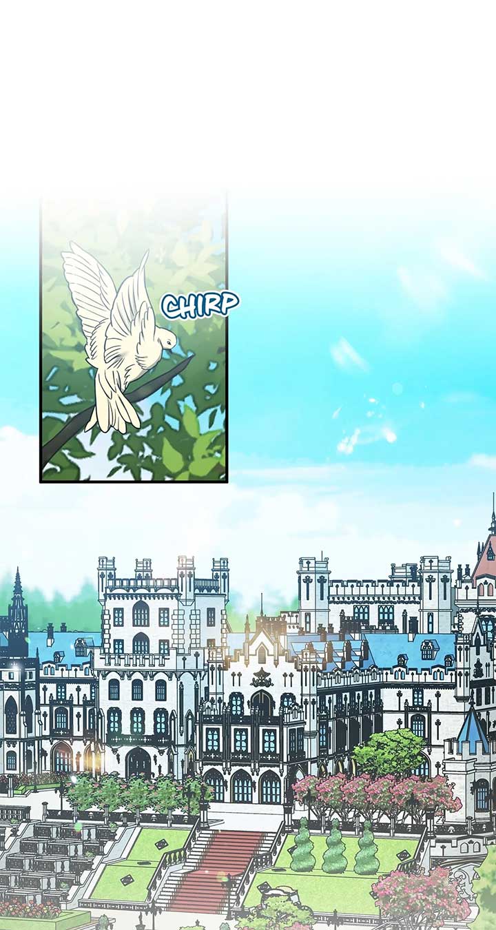 ch 78 2