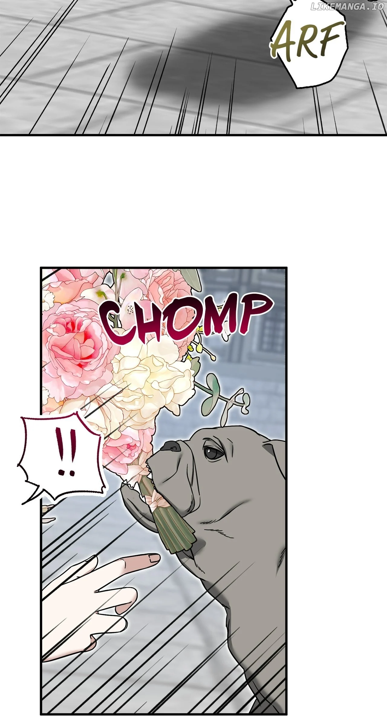 I Won’t Go Back to My Family Who Abandoned Me Chapter 80 321 ch 80 50