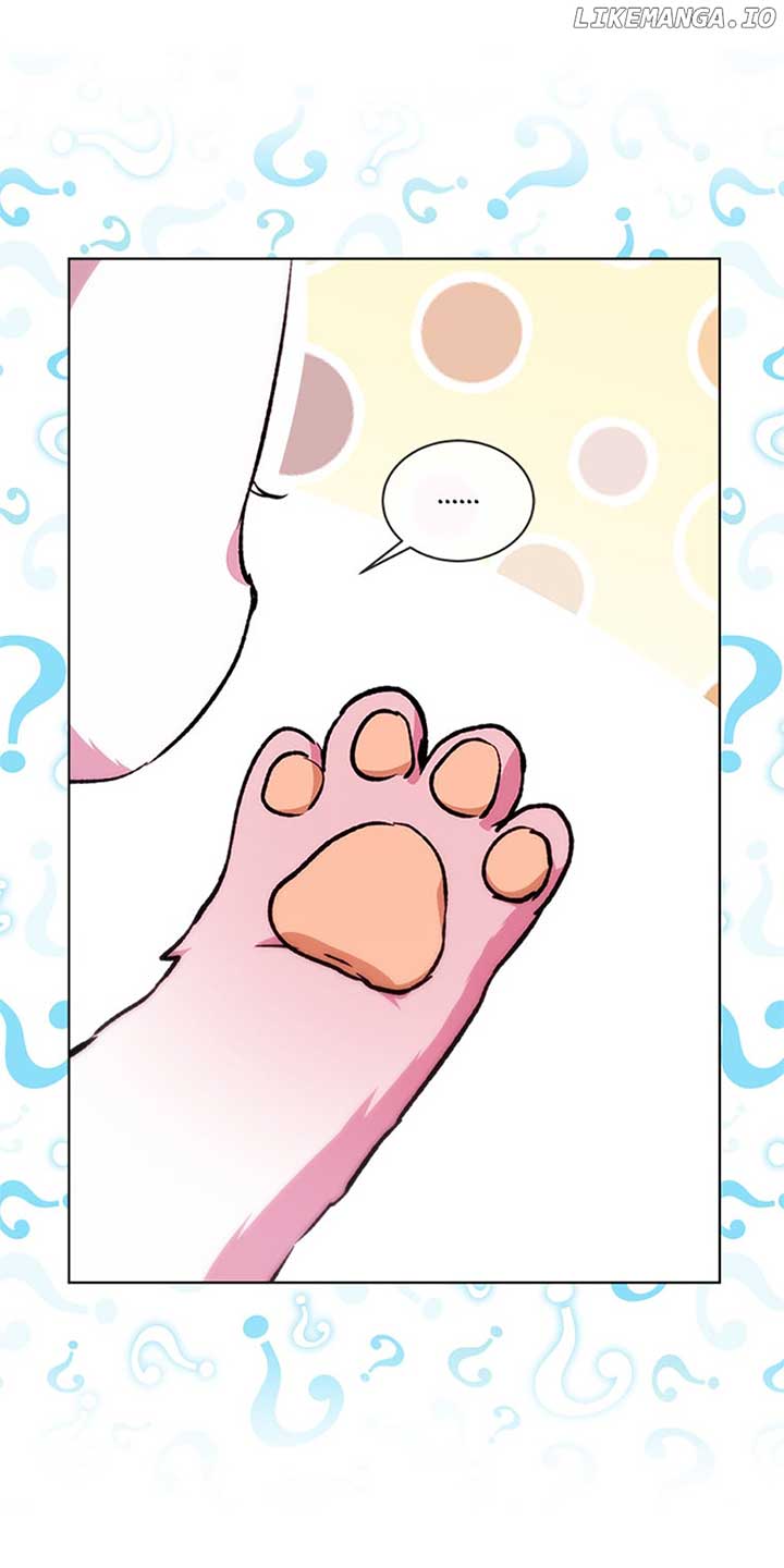 I Was Reincarnated as a Baby Fox God Chapter 40 261 35